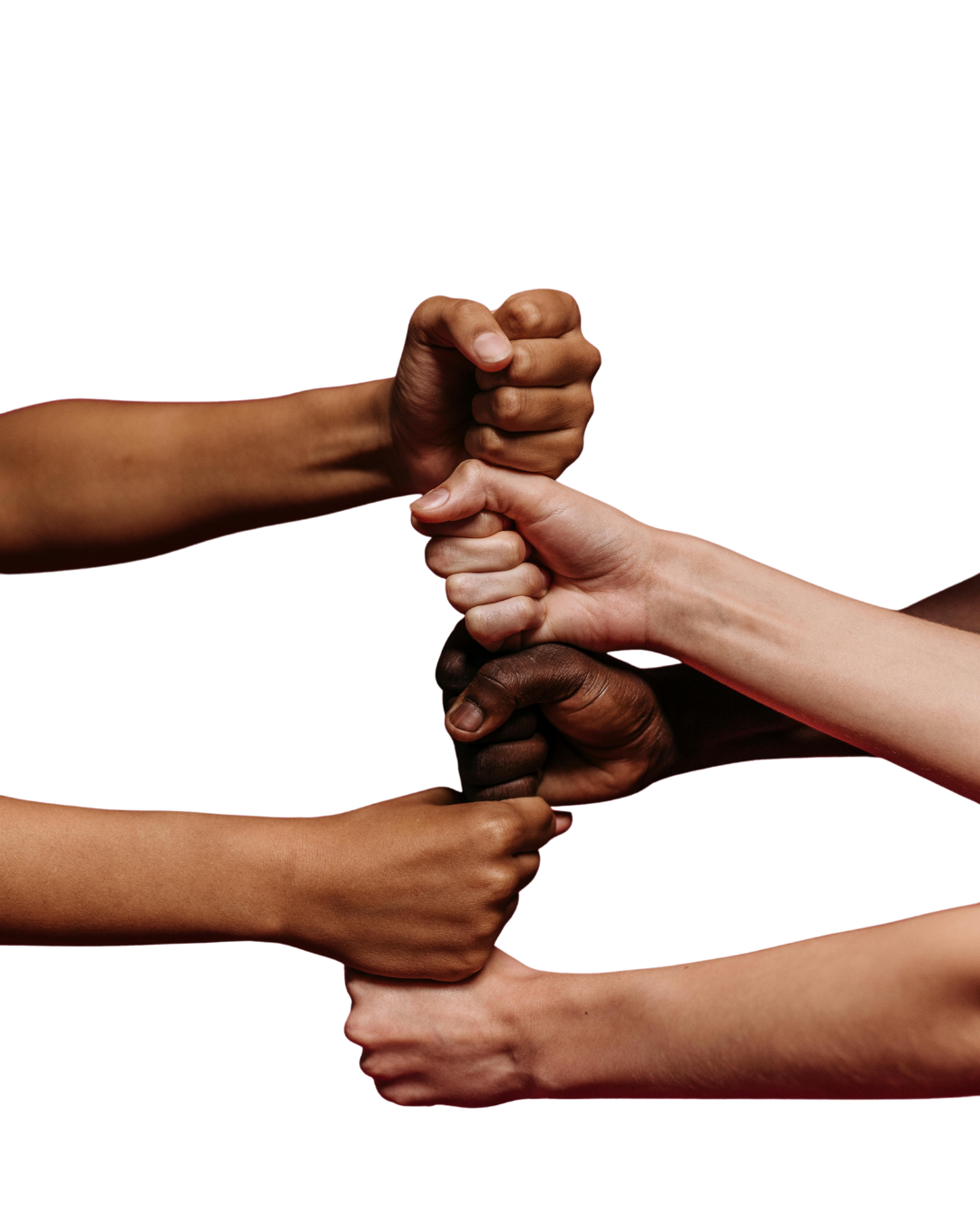 insertion professionnelle et engagement wastewise